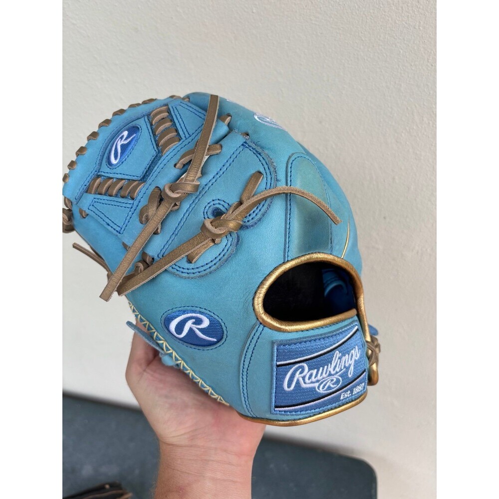 Rawlings heart of the hide glove